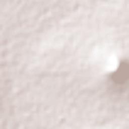 Zempoala Terrain Map