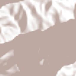 Tepetzintla Terrain Map