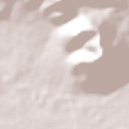 Tungareo Terrain Map