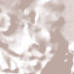 San Francisco Solis Terrain Map