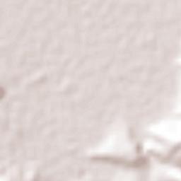 San Pedro de los Metates Terrain Map