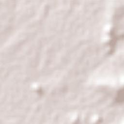 El Palmito Terrain Map