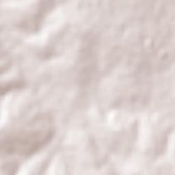 Hueypoxtla Terrain Map