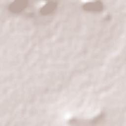 San Francisco Zacacalco Terrain Map