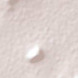 General Felipe Ángeles (Los Ángeles) Terrain Map