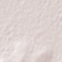 Las Pintas Terrain Map