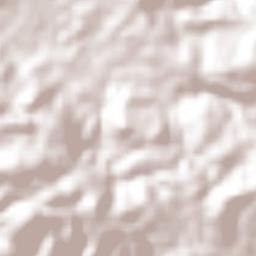 San José Corral Blanco Terrain Map