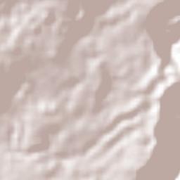 Tomatlán Terrain Map