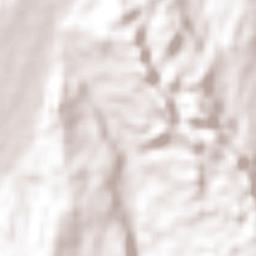 Misantla Terrain Map