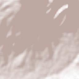 Tacuro (Santa María Tacuro) Terrain Map