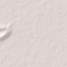 Lázaro Cárdenas (La Purísima) Terrain Map