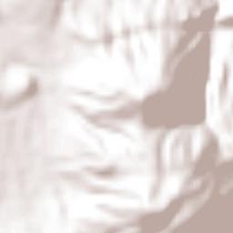 Santiago Puriatzícuaro Terrain Map