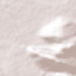 Santa Elena Terrain Map