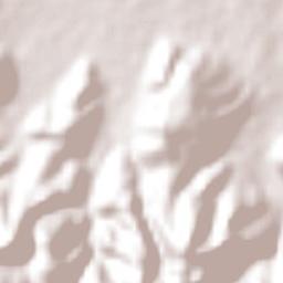 Timilpan Terrain Map