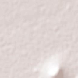 Ixtlahuaca de Cuauhtémoc Terrain Map