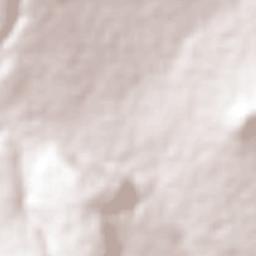 San Agustín Zapotlán Terrain Map