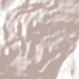 Yecuatla Terrain Map