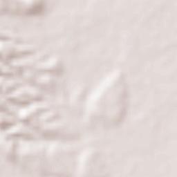 Amphoe Fang Terrain Map