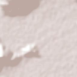 El Cacalote Terrain Map