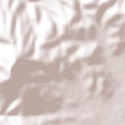 Ejido Uno de Febrero Terrain Map