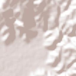 San Andrés Ixtlán Terrain Map