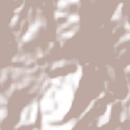 Ejido Agua Zarca Terrain Map