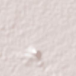 Tarejero Terrain Map