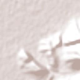 Bellas Fuentes Terrain Map