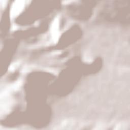 San Francisco Tepeolulco Terrain Map