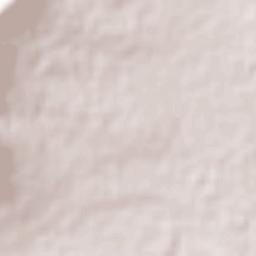 Colonia Wenceslao Labra Terrain Map