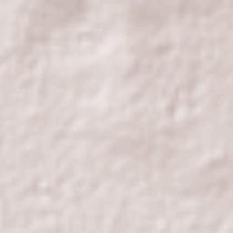 Fraccionamiento la Trinidad Terrain Map