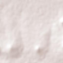 Temascalapa Terrain Map