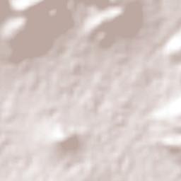 Tlanalapa Terrain Map