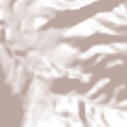 Tetela de Ocampo Terrain Map