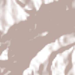 Tenochtitlán Terrain Map