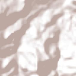 Juchique de Ferrer Terrain Map