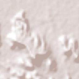 Villa Isabela Terrain Map