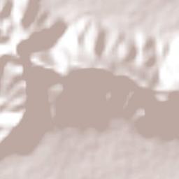 El Mentidero Terrain Map