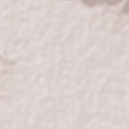 El Grullo Municipality Terrain Map