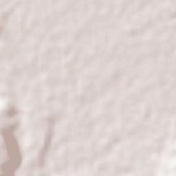 Naranja de Tapia Terrain Map