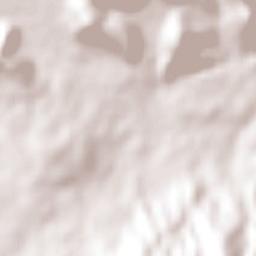 Chiquimitío Terrain Map