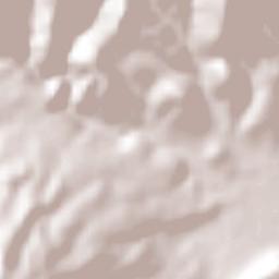 Ex-Hacienda de Guadalupe Terrain Map