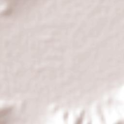 Fraccionamiento Laureles Eréndira Terrain Map