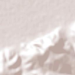 Colonia Miguel Hidalgo Terrain Map