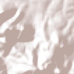 Adolfo López Mateos Terrain Map