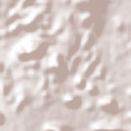 San Marcos Tlazalpan Terrain Map