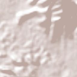 San Bartolo Morelos Terrain Map