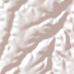 San Luis Anáhuac (Toriles) Terrain Map