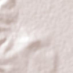 Coyotepec Terrain Map