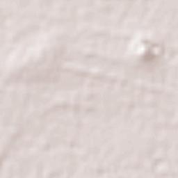 Paseos de San Juan Terrain Map